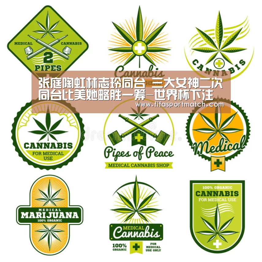 世界杯投注网