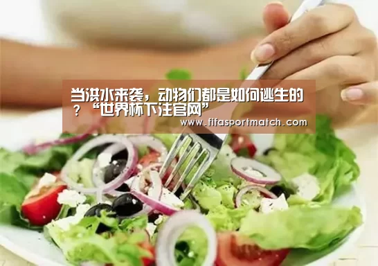 世界杯下注